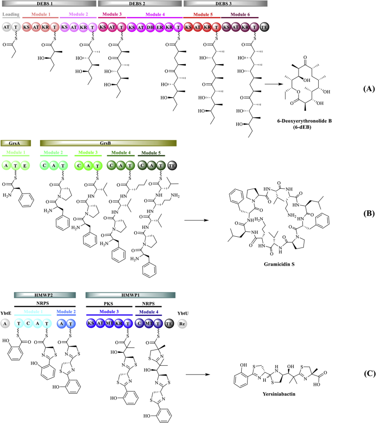 Fig. 2