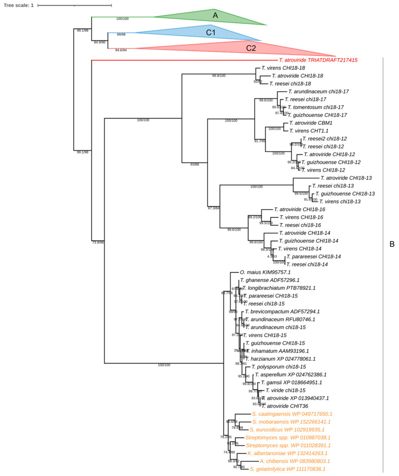 Figure 12