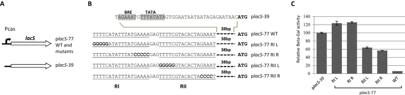 Figure 2.