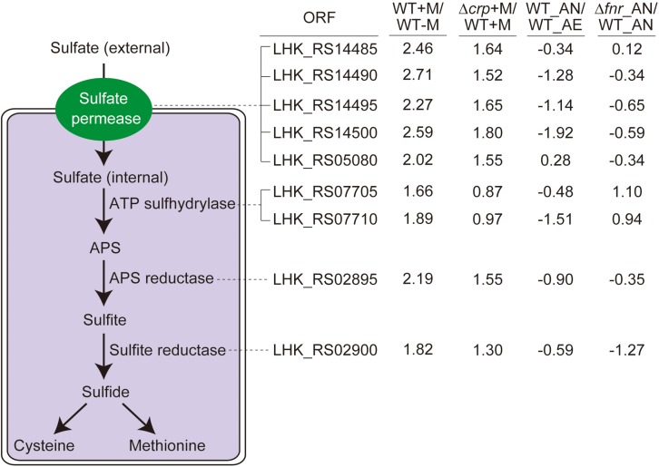 FIGURE 4