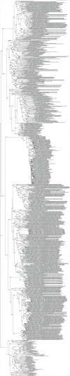 Figure 7—figure supplement 1.