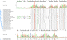 Figure 1—figure supplement 2.