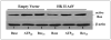 Fig 10