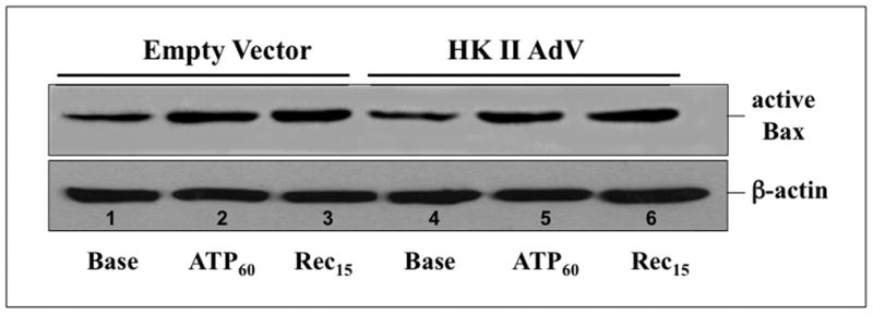 Fig 10