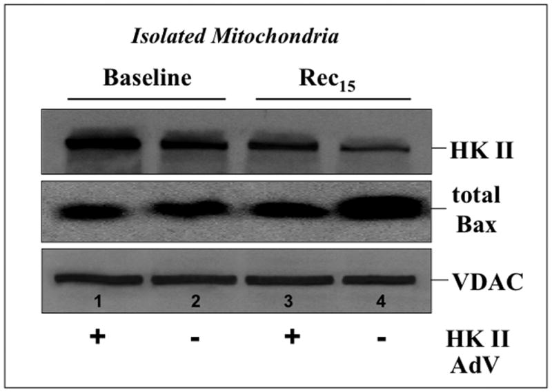 Fig 11