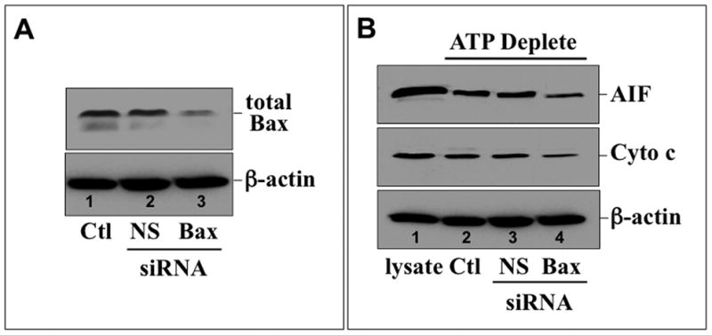 Fig 9