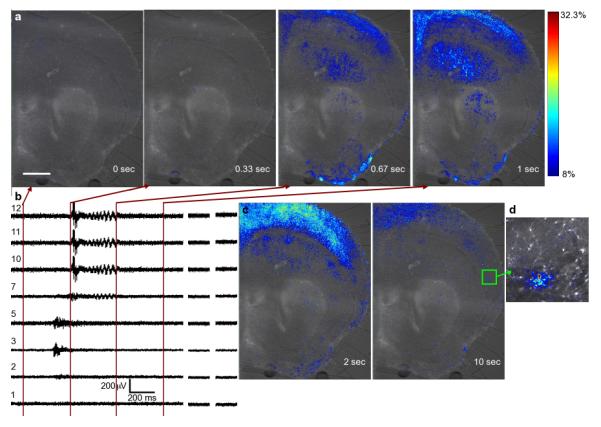 Fig. 3