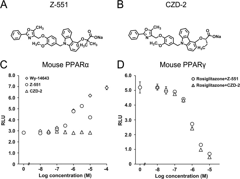 FIGURE 1.