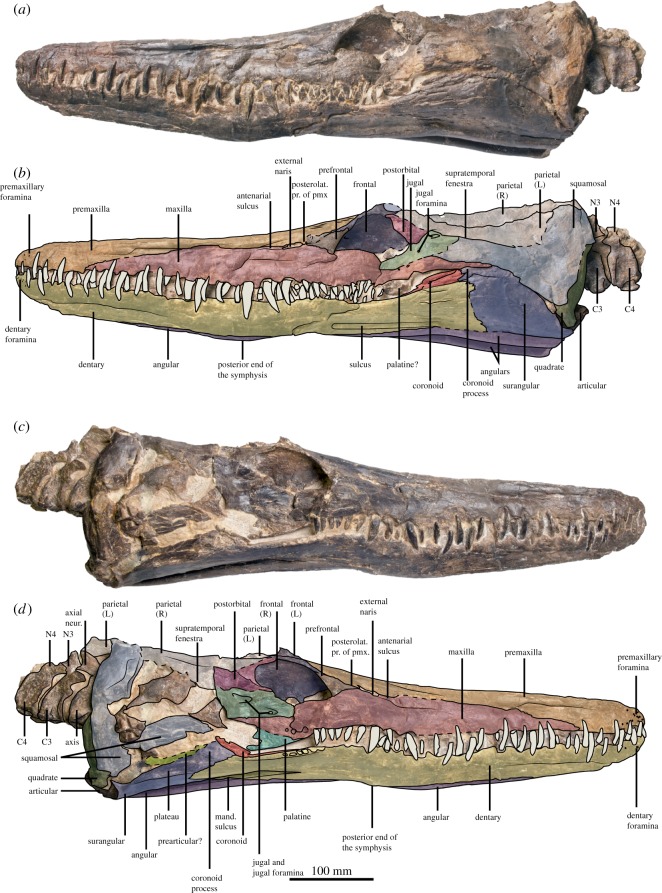 Figure 3.