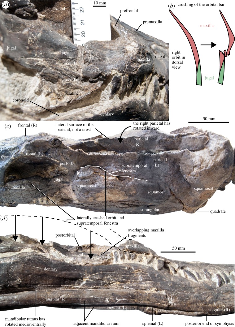 Figure 2.