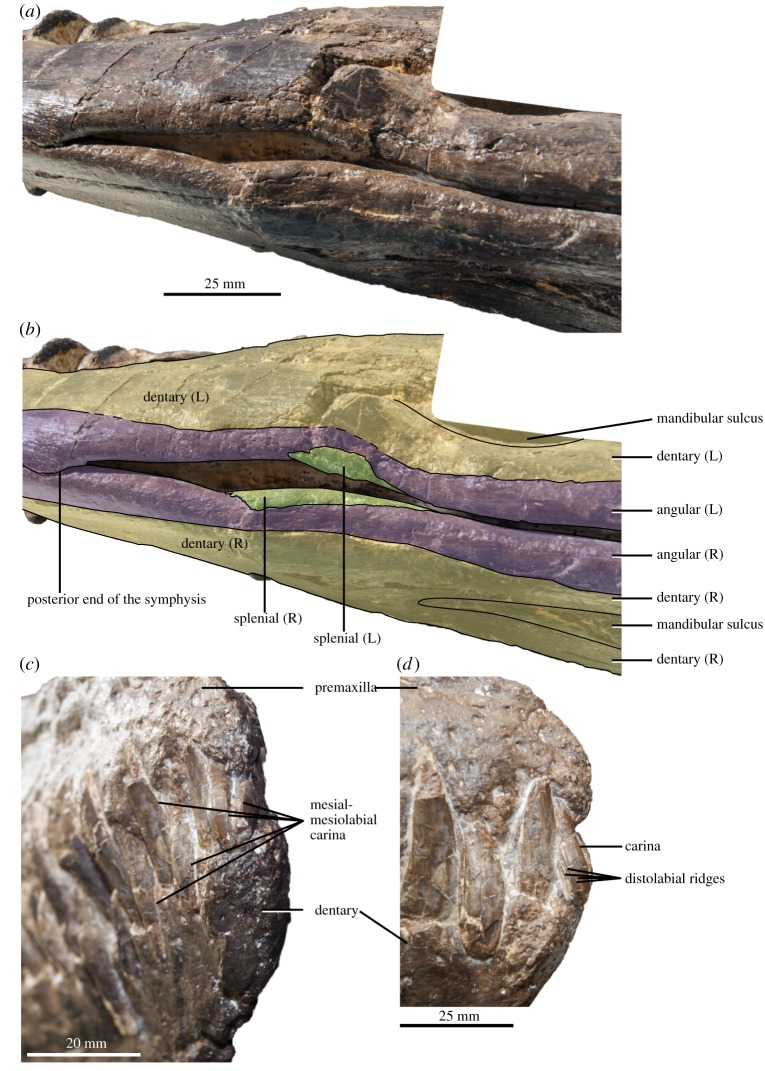 Figure 6.