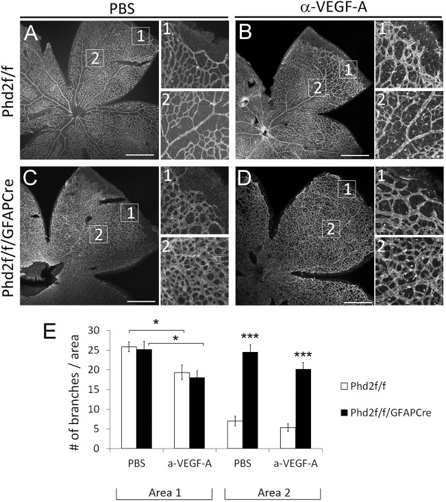 Fig. 9.