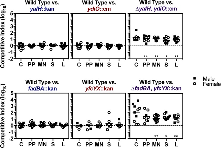 FIG 3