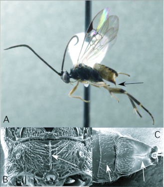 Figure 7. 