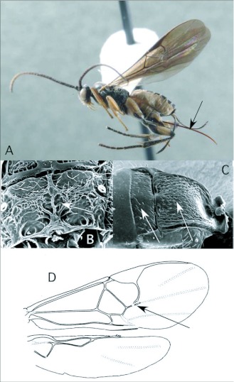 Figure 9. 