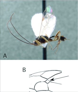 Figure 15. 