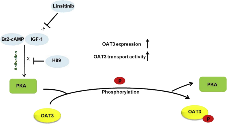 Figure 7