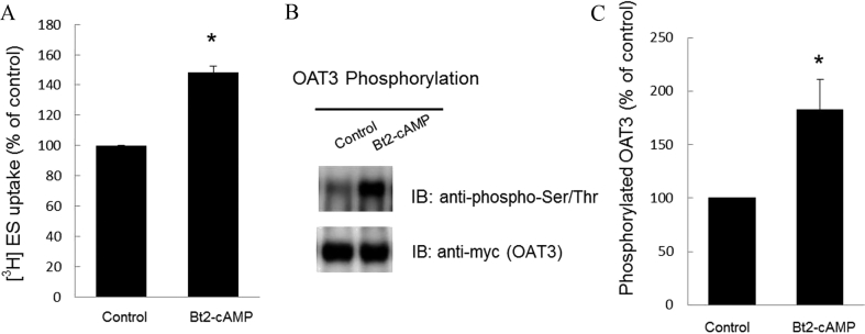 Figure 5