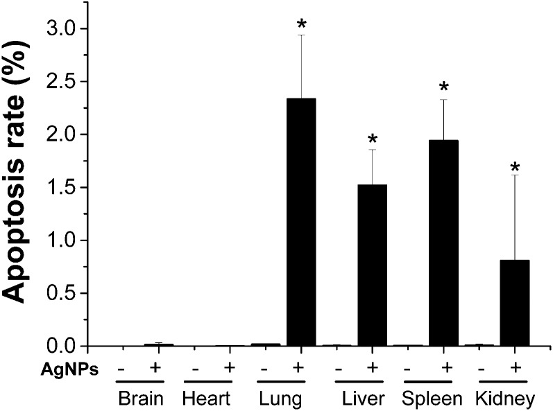 Fig. 7