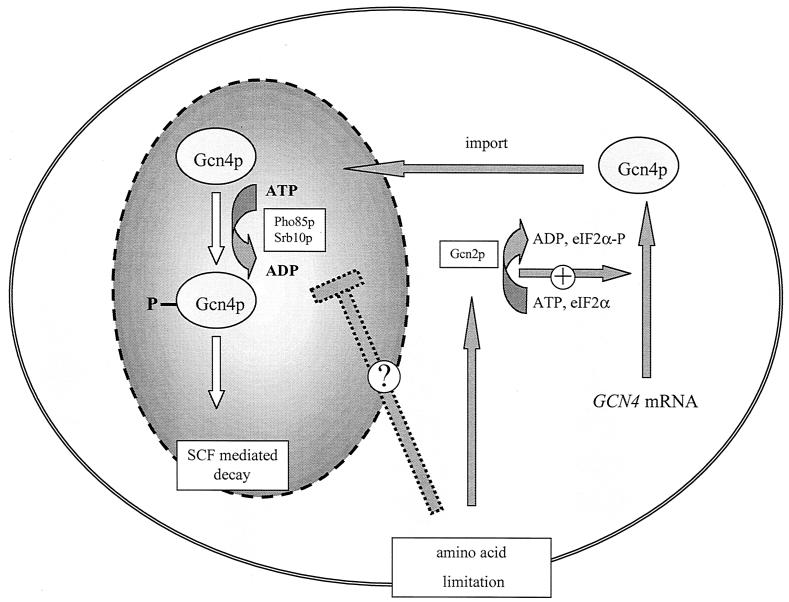 FIG. 9.