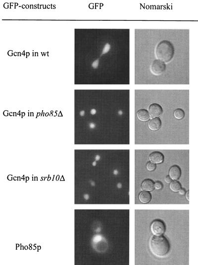 FIG. 8.