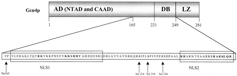 FIG. 5.