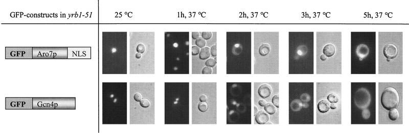 FIG. 7.