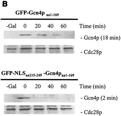 FIG. 6.