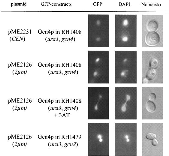 FIG. 2.