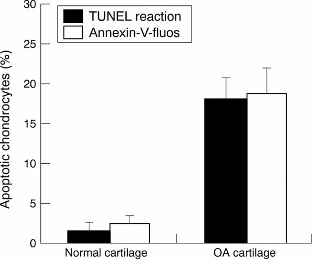 Figure 3  