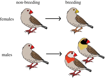 Figure 1.