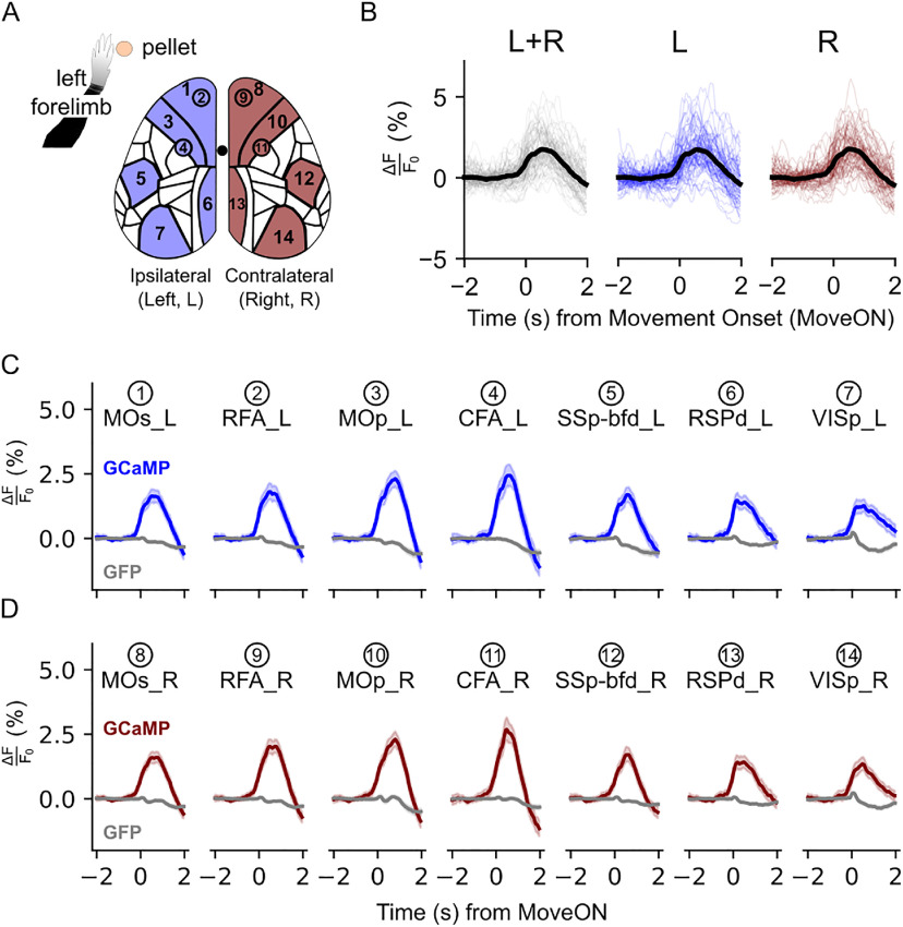 Figure 3.