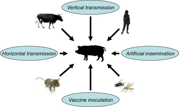 Figure 7