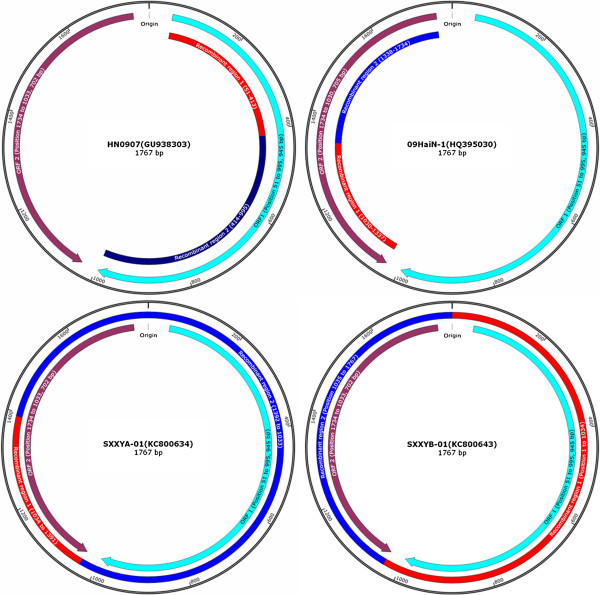 Figure 5