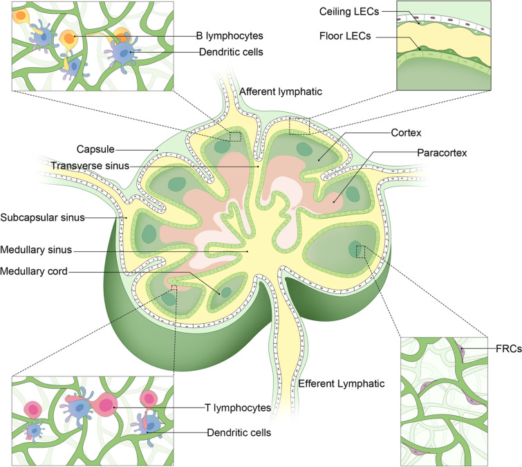 Fig. 1