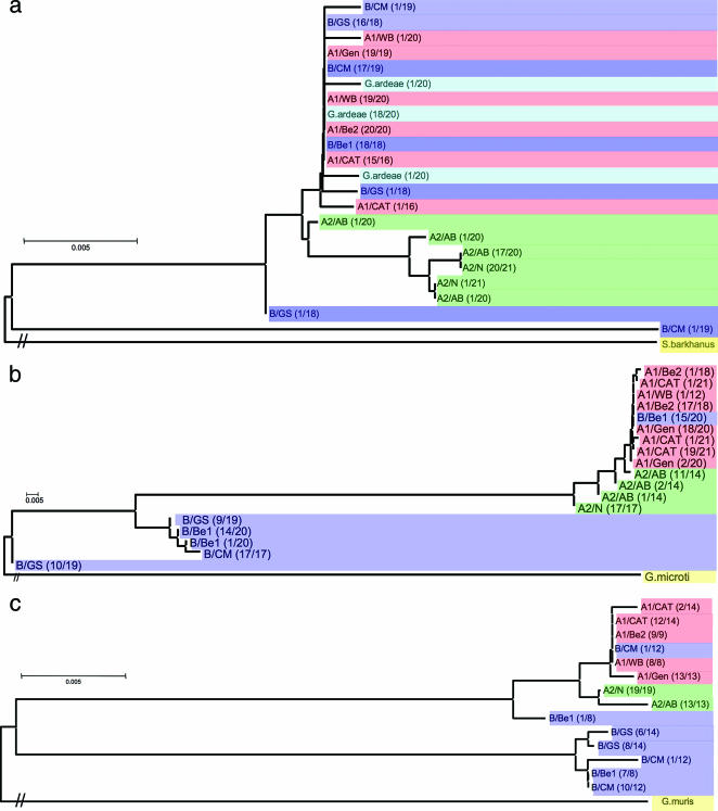 FIG. 1.