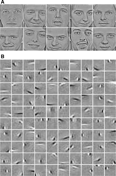 Fig. 3