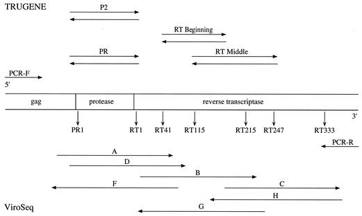 FIG. 2.