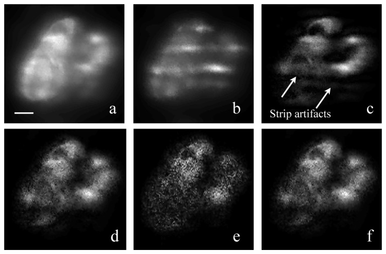 Fig. 9