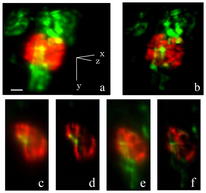 Fig. 10