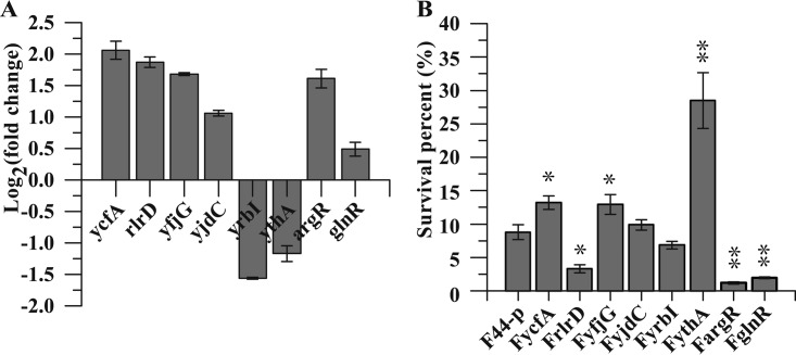 FIG 1