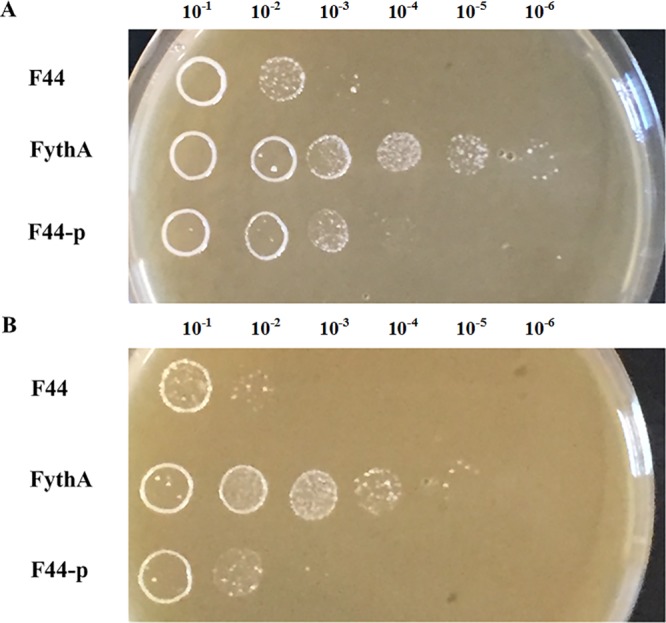 FIG 6