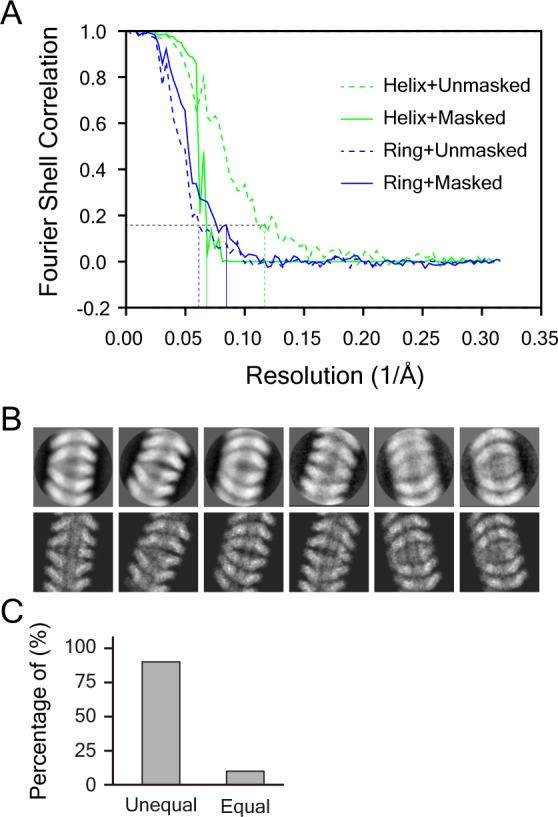 Figure 2—figure supplement 1.