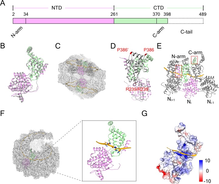 Figure 1—figure supplement 3.