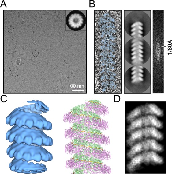 Figure 2—figure supplement 2.