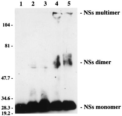 FIG. 6