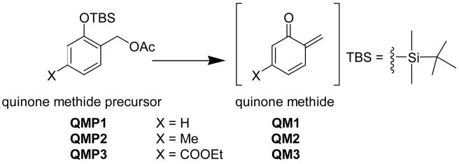 Scheme 4