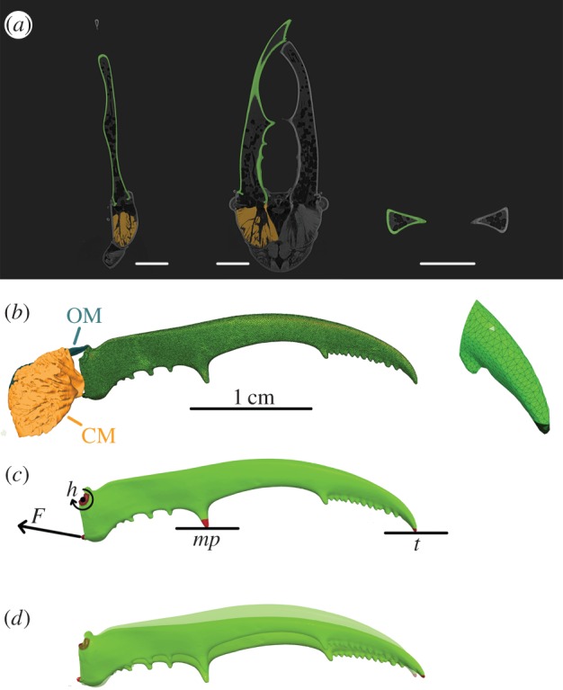 Figure 1.