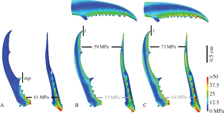 Figure 5.