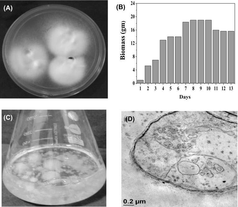 Fig. 1